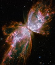 Butterfly: foto van NASA / Hubble Space Telescope